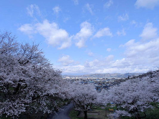 A172:新型DIY合金タッセルアクセサリー専用リンクこの商品は1900円以上購入で20%オフ